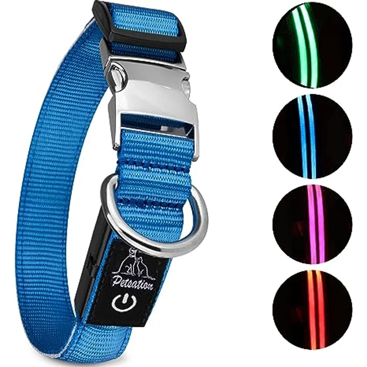 Leuchthalsband für Hunde [Das Original] Leuchtendes LED Hundehalsband zum spazieren gehen auch im Dunkeln- sehr Lange Akkulaufzeit – Sicher Dank hochwertigem Metallverschluss (M, Blau) – Bild 1