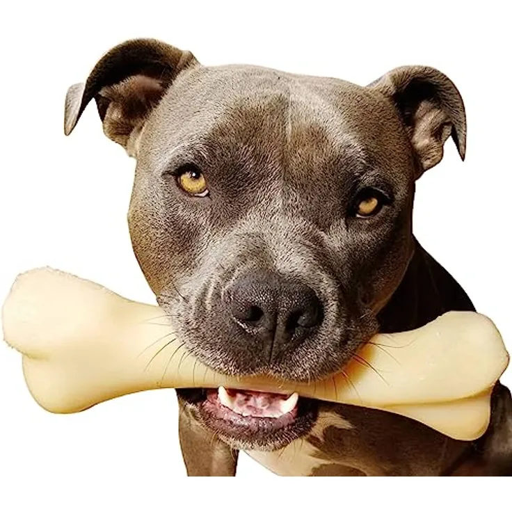 Nylabone Extreme Chew Bone Kipsmaak, Hundespielzeug