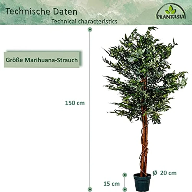 PLANTASIA Kunstpflanze Zimmerpflanze 150 cm, künstlicher Marihuanastrauch mit Echtholzstamm, 600 detailreiche Blätter – Bild 4