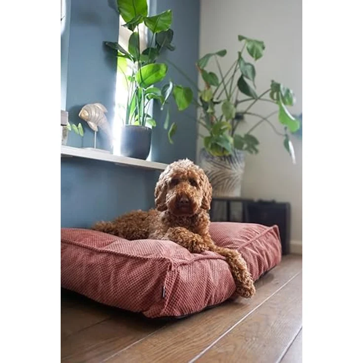 Flamingo Orthopädisches Hundekissen Reno, Rechteckig, Lachsrosa, 100 cm, Memory-Foam, rutschfest, waschbar – Bild 5