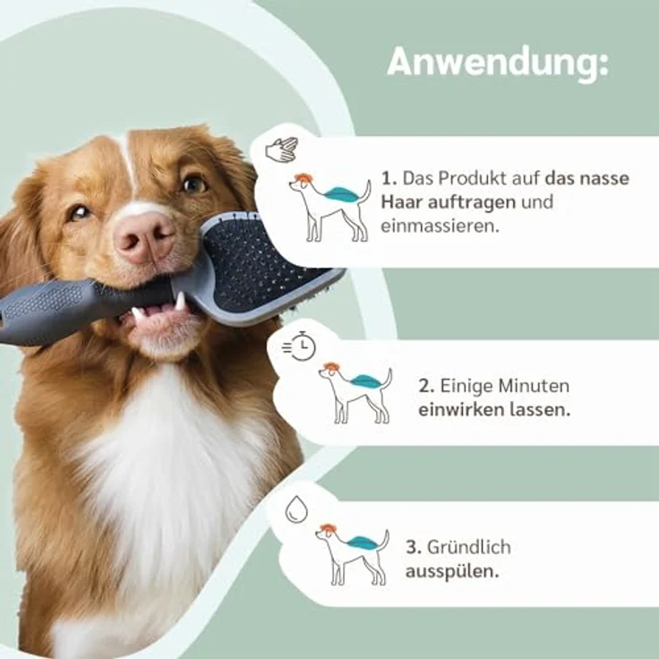 Amusi Dermatitis-Hundeshampoo sensitiv, 250 ml mit beruhigendem Kamillenextrakt und Duft, ideal für empfindliche Haut – Bild 5