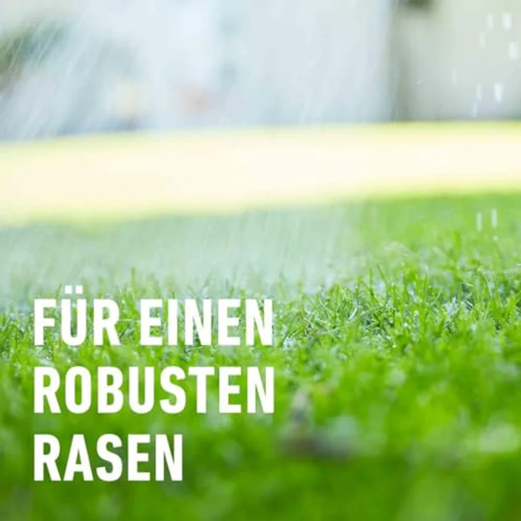 COMPO Rasen-Langzeitdünger, 3 Monate Langzeitwirkung, Rasendünger, Feingranulat, 15 kg – Bild 4