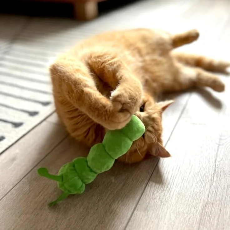 Aumüller Tierkuscheltier Katzenspielzeug Raupe Pedro - Plüschtier mit Katzenminze, made in Germany, hochwertiges Plüschkissen – Bild 3