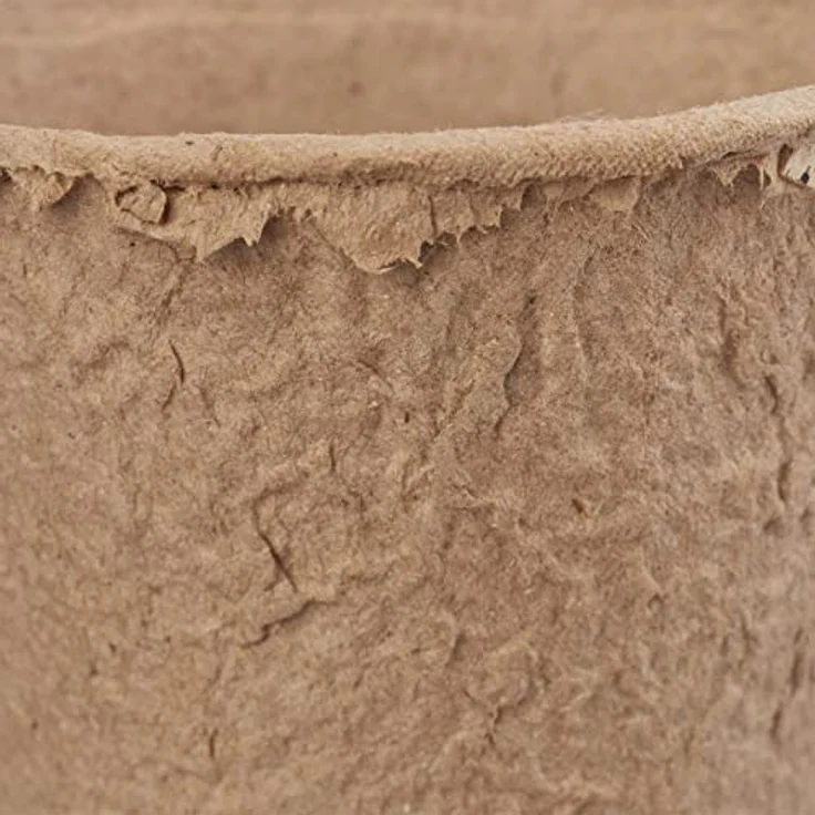 relaxdays Anzuchttopf 240 Stück, beige Pflanzgefäße aus Zellulose für umweltbewusstes Anpflanzen – Bild 6