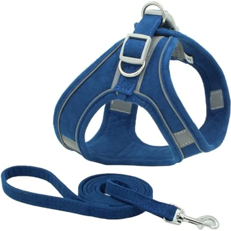 MONKIMAU Hundegeschirr mit Leine für kleine Hunde, komfortables weiches Geschirr in Türkis XXXS, mit Reflektoren für erhöhte Sicherheit, inkl. 150cm Leine
