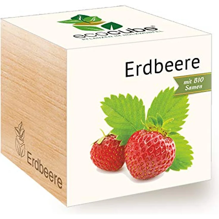 Feel Green Ecocube Erdbeere, Bio Anzuchtset im Holzwürfel, Geschenkidee, Made in Austria – Bild 1