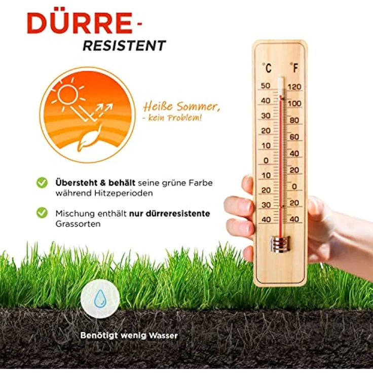 halmland Premium Rasensamen schnellkeimend, 1kg für 30-40m², strapazierfähiger Sport- und Spielrasen, trockenresistent, ideal für Nachsaat und Reparatur – Bild 4