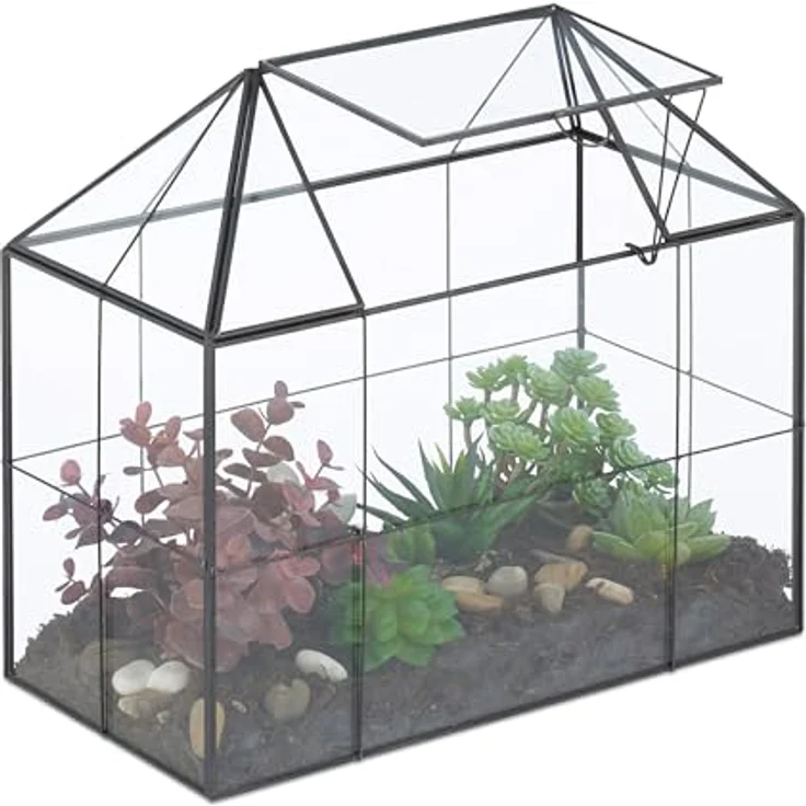 Relaxdays Großes Pflanzenterrarium in Hausform, Glas, ideal für Sukkulenten und Moos, Maße 27 x 30 x 15 cm – Bild 1