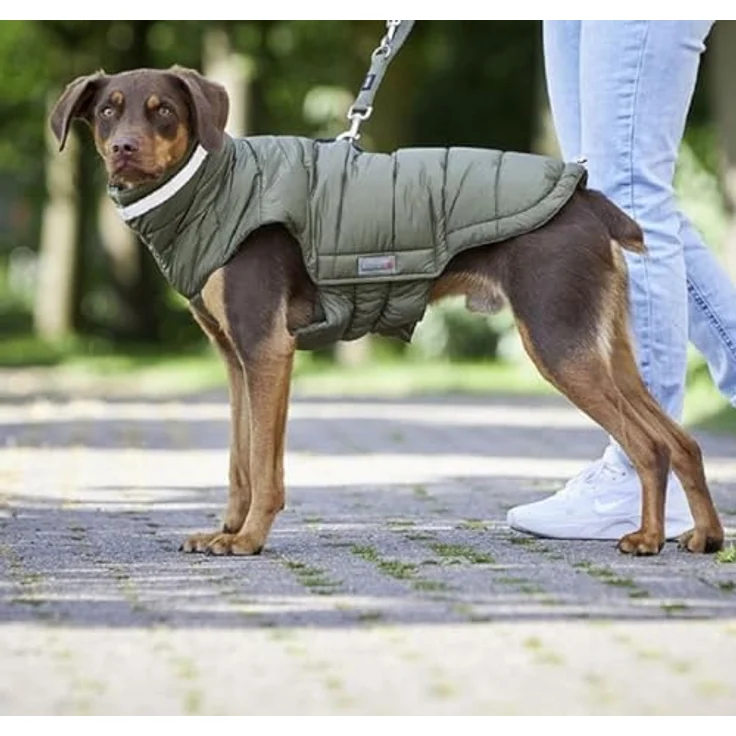Wolters Hundemantel Steppjacke Cosy, Oliv, Tierfreundlich, Wasserdicht, Reflektierend – Bild 2