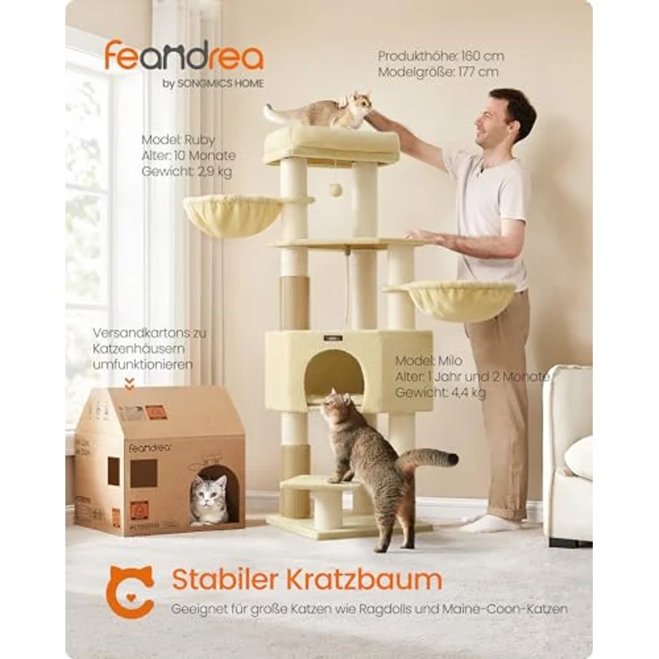 Feandrea Kratzbaum mit selbstwärmenden Decken für große Katze, Katzenbaum mit 2 Katzenbürsten, 11,1 cm d Dicke Stämme, große Plattformen, Höhle, 50 x 50 x 160 cm, sandbeige-beige PCT003Y01 – Bild 2