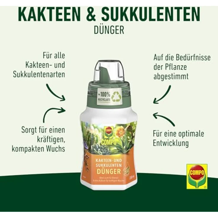 Compo Kakteendünger u. Bonsaidünger250 ml – Bild 3