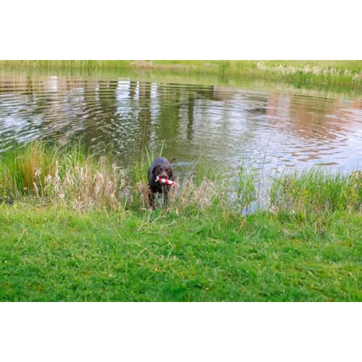 Nobby Floating Anker mit Seil, 24,5 cm für schwimmbegeisterte Hunde, blau – Bild 2