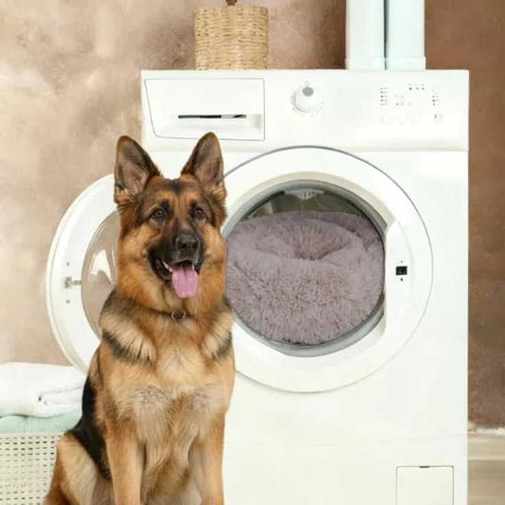 BENNO Hundebett BALU, rund 60x60x16 cm, Donut Kuschelbett mit Polypropylen-Füllung, Cappuccino, maschinenwaschbar, rutschfester Boden, inkl. Kauknochen für Hunde – Bild 4