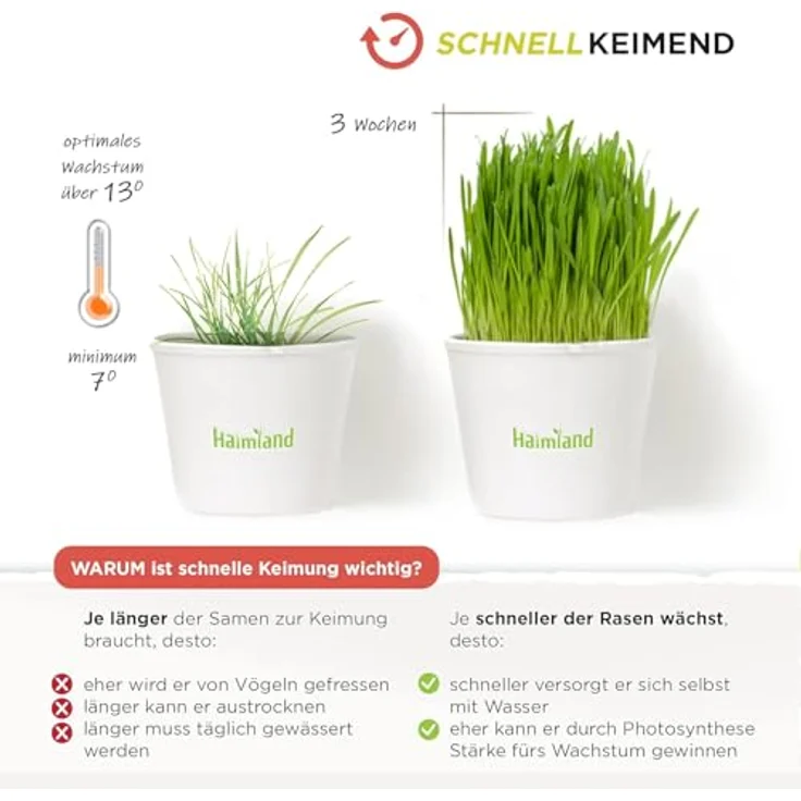 halmland Premium Rasensamen schnellkeimend, 20kg für 800m² - Belastbarer Sport- und Spielrasen, trockenresistent, ideal für Rasensaat und Nachsaat – Bild 2