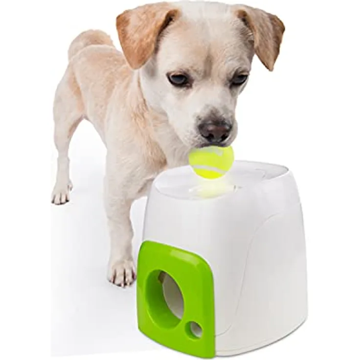 AFP AFPH03201 Hundespielzeug Interactive Fetch'N Treat