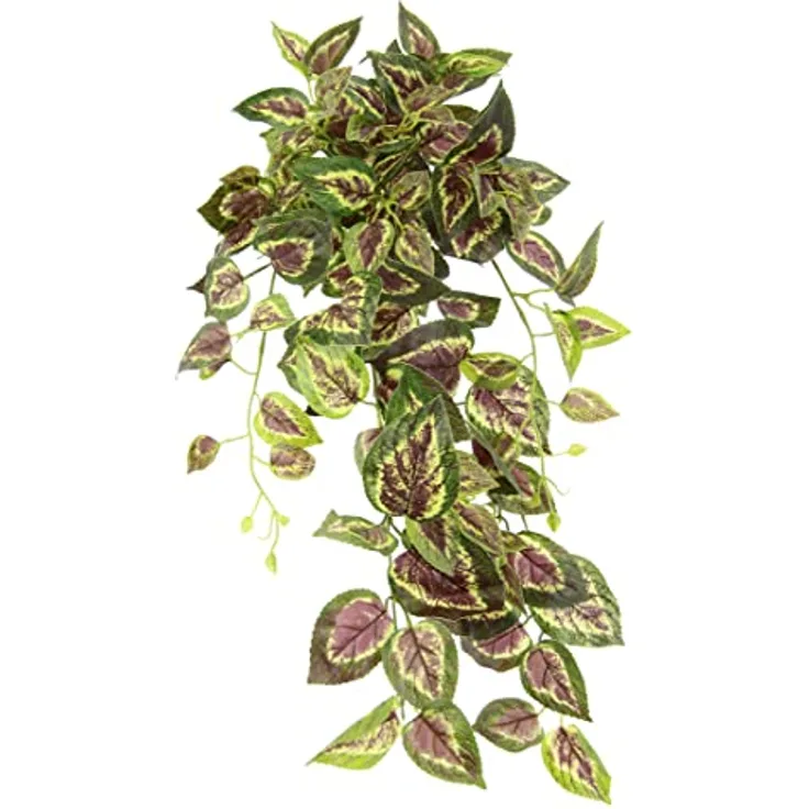 Flair Flower Künstlicher Buntnesselhänger Efeu Ranke Girlande Hängend Kunstpflanze Busch Hänger Pflanze Rankende Pflanzenampel Zimmerpflanze Kletterpflanze Efeuranke, 151724GNR, ca. 80x28x26 cm
