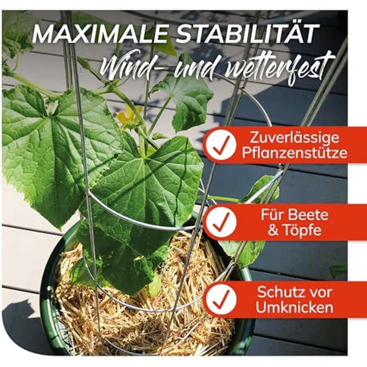 bellissa Gurken-Rankhilfe 5er Set, verzinktes Stahl-Rankgitter 120 cm für Tomaten und Gurken, stabile Pflanzenstütze für Garten, Hochbeet & Töpfe, wetterfest und wiederverwendbar – Bild 4