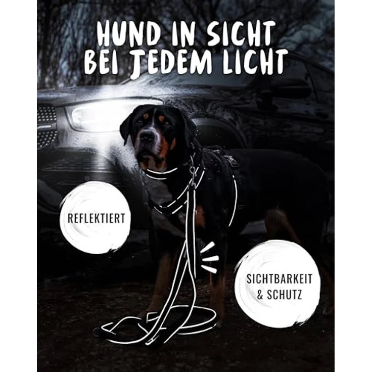 Rudelkönig Führleine Paola, 2,30m verstellbare Hundeleine für große & mittelgroße Hunde, reflektierend in schwarz, reißfest & wetterfest mit 360° Drehgelenk-Metallkarabiner – Bild 4
