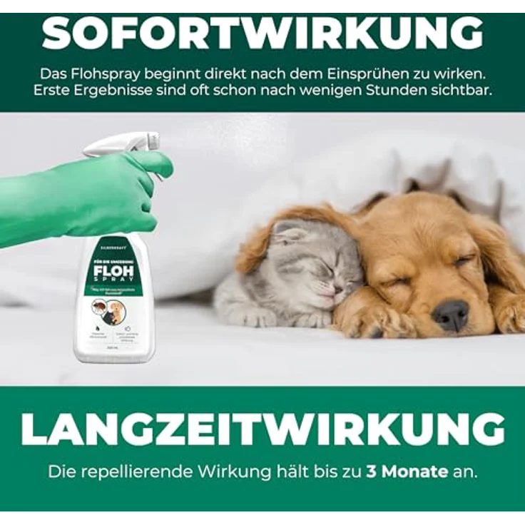 Silberkraft Flohspray für Umgebung, gegen Flöhe, Zecken & Milben, 500 ml, Langzeitschutz, ideal für Textilien, Made in Germany – Bild 6