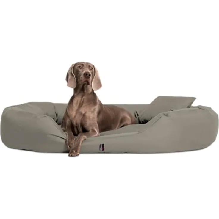tierlando® Orthopädisches Hundebett Sammy - Robuster Polyester - Dicke Umrandung - Gr. L - XXXXL Hundesofa Hundekörbchen, waschbar Gr. XXL 140 cm Beige Dunkel