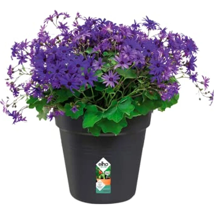 elho Green Basics Anzuchttopf 27 - Growpot für Züchten und Ernten - Ø 27.0 x H 24.7 cm - Schwarz/Living Schwarz – Bild 3