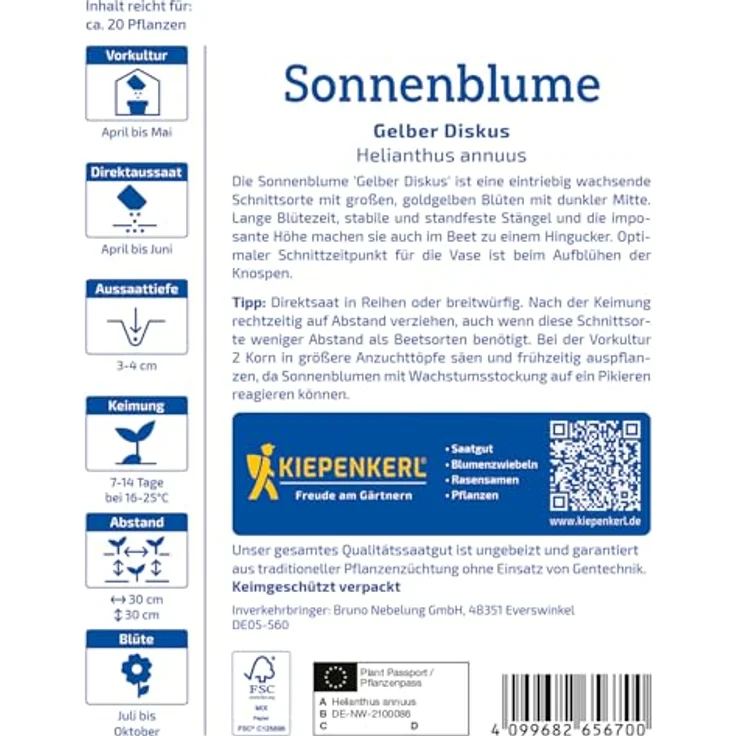 Kiepenkerl Sonnenblume Gelber Diskus, Schnittblume mit leuchtenden Blüten, ideal als Sichtschutz – Bild 2