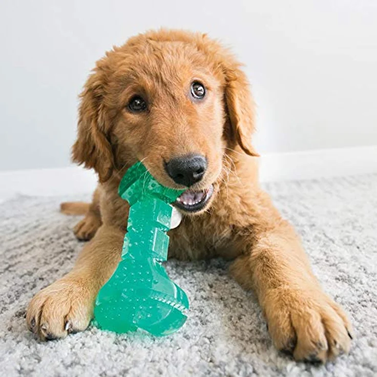 KONG - Squeezz Dental Stick – Einzigartige Flexible Textur, Zahn- und Zahnfleischreinigung Hundespielzeug – für mittelgroße und große Hunde – Bild 2