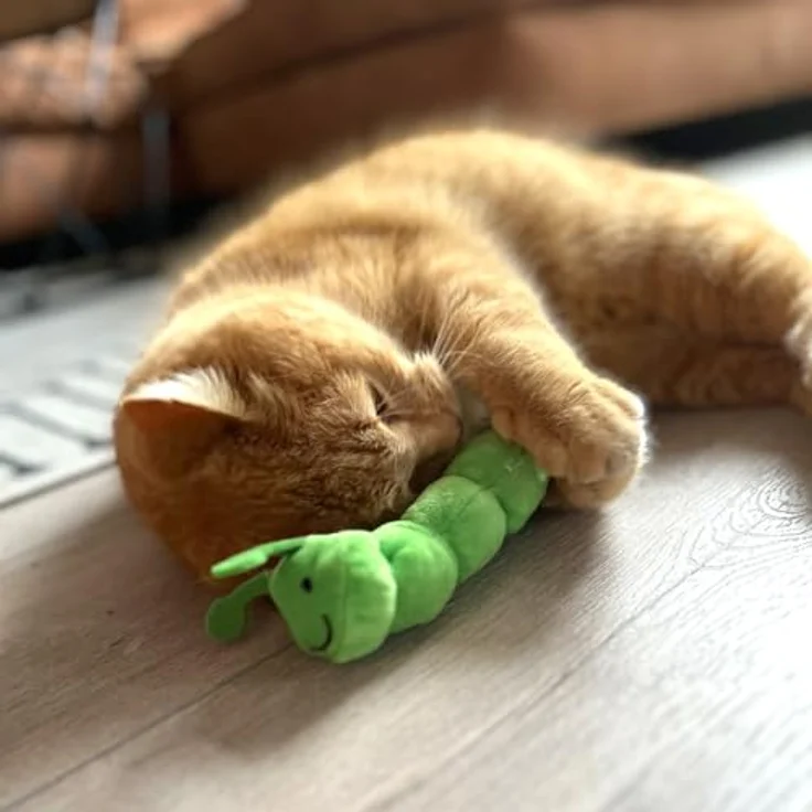 Aumüller Tierkuscheltier Katzenspielzeug Raupe Pedro - Plüschtier mit Katzenminze, made in Germany, hochwertiges Plüschkissen – Bild 2