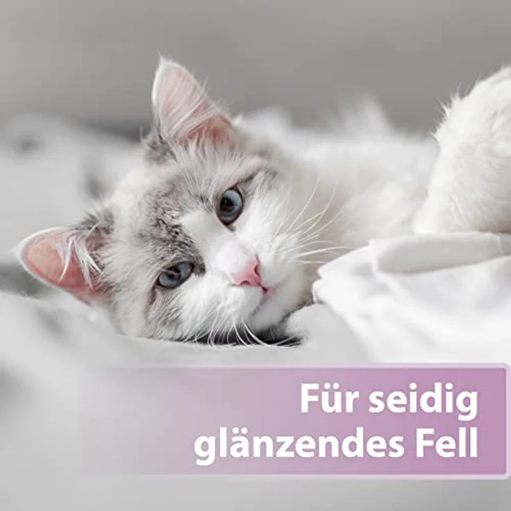 Felisept Fellpflege Spray für Katzen, 250ml - zur Entfilzung, milde Pflege für Langhaarkatzen und Senioren – Bild 4