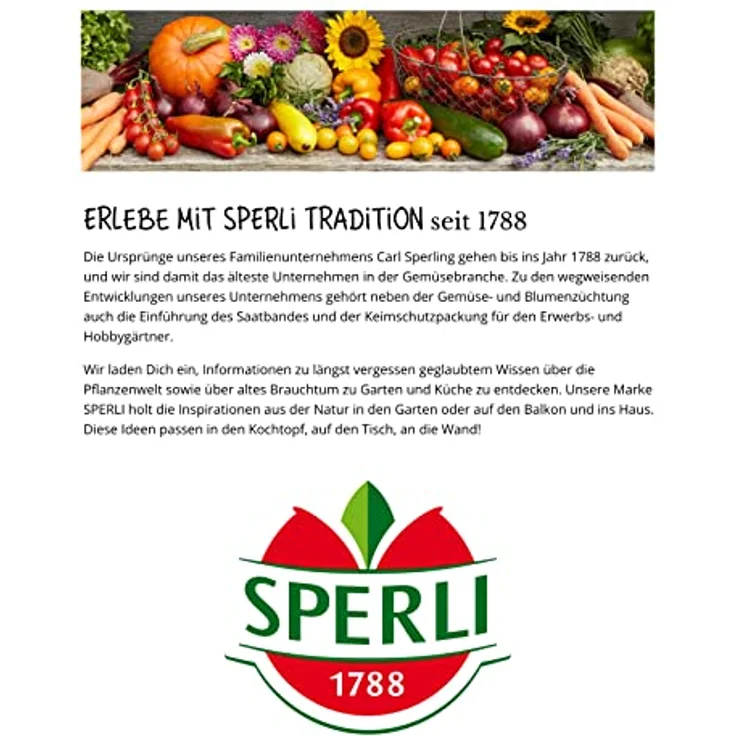 Sperli Zwiebel The Kelsae – Bild 4