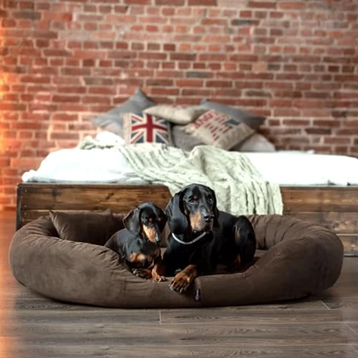 tierlando® Orthopädisches Hundebett Sammy | High-Tech-Velours | Dicke Umrandung | XXL Hundesofa Braun 140 cm – Bild 3