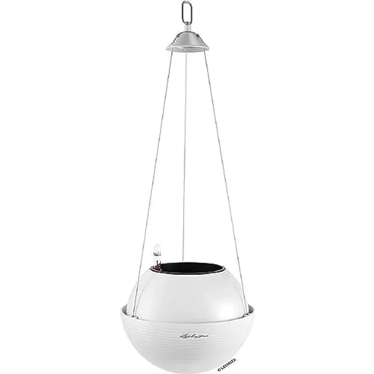 Lechuza BOLA