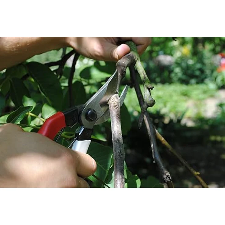 Silky Okatsune Top Gartenpflegesatz mit Gartenschere, Klappsäge grob – Bild 9