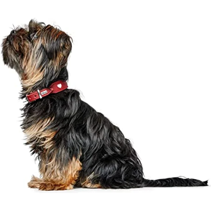 HUNTER Halsband Love Farbe rot/schwarz, Größe 37 – Bild 5