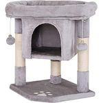 lionto Kratzbaum Kletterbaum Katzenkratzbaum Katzenbaum Höhe 60 cm, hellgrau