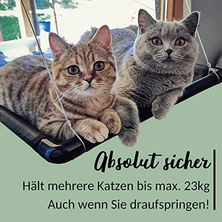 riijk Fenster Katzenhängematte für Katzen bis 23 kg, extra Stabiler Fensterliegeplatz für Katzen | Katzen Fensterliege | Katzenliege Fenster Platz für kleine Fenster – Bild 2