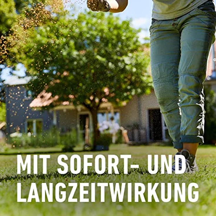 COMPO BIO Rasendünger, Naturdünger für Rasen, Natürliche Sofort- und Langzeitwirkung, Feingranulat, 20 kg, 500 m² – Bild 4