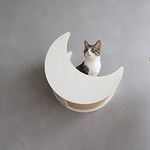 CatS Design Katzen Kletterwand große Katzen stabil Wandkratzbaum-Wandliege Wandkratzbrett Wandpark Wandkorb Wandelemente Wandbett Mond F7