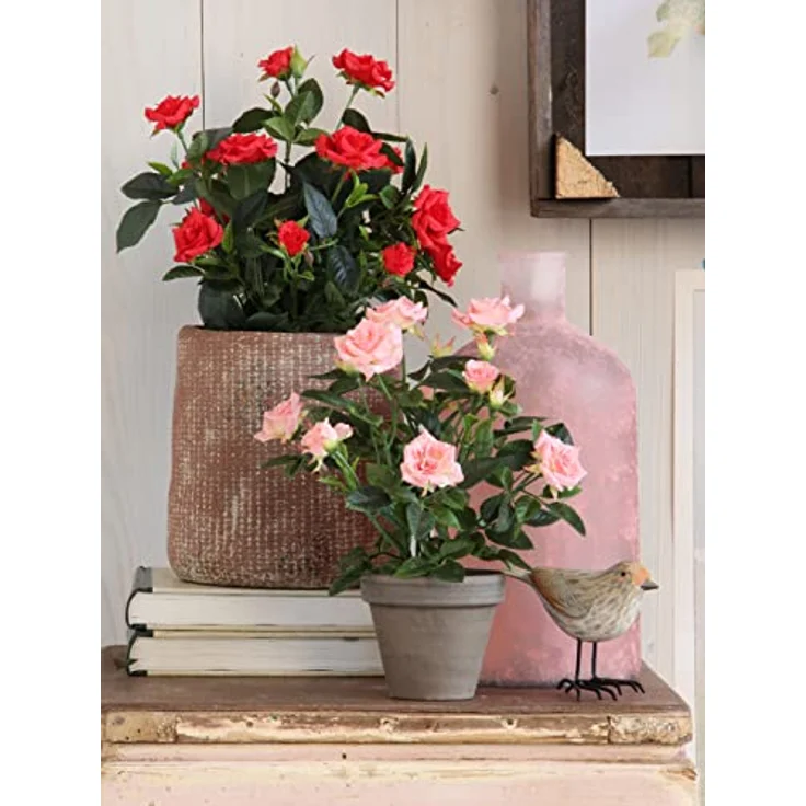 MICA Decorations Rosenstrauch Kunstpflanze im Blumentopf Stan - H33 x Ø25 cm - Rot – Bild 5