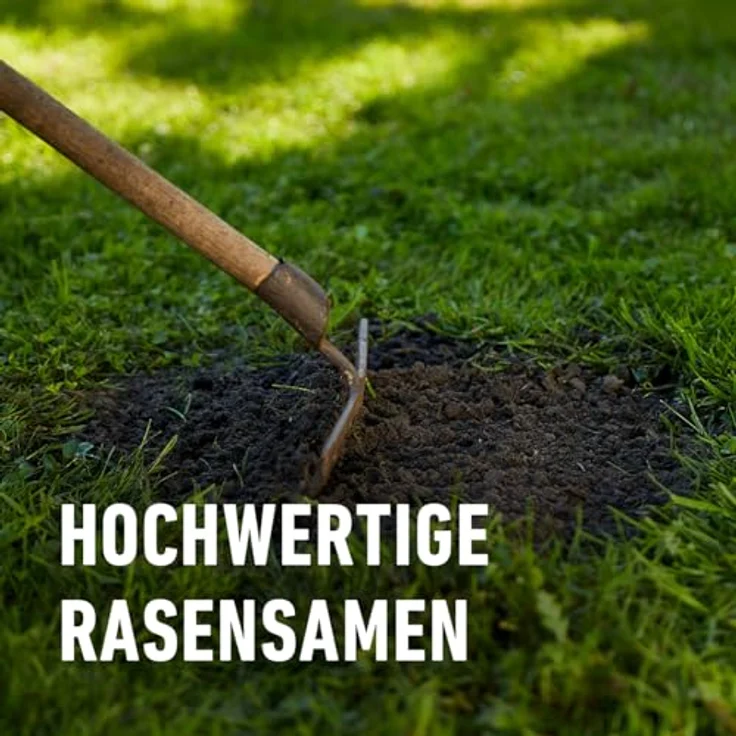 COMPO SAAT® Strapazier-Rasen 2 kg für 100 m² – Bild 3