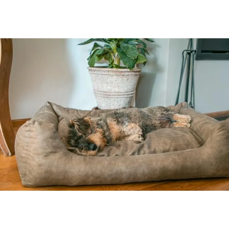 Holland Animal Care Lets Sleep Sweet Dreams, Luxus Hundebett mit Kissen und rutschfester Unterseite, taupe – Bild 2