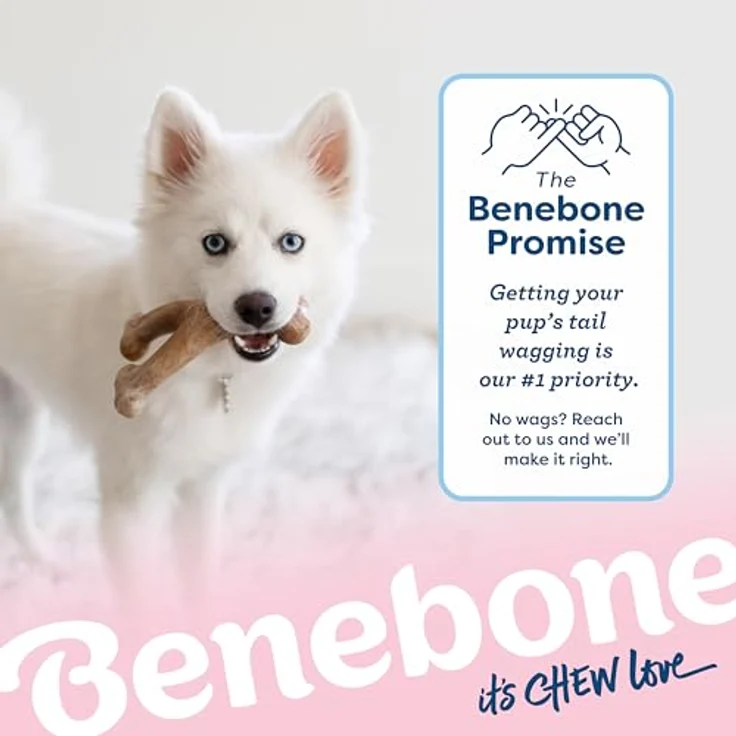 Benebone Puppy Wishbone Bacon M, 18cm - (854111004897) (Kauspielzeug), Hundespielzeug – Bild 7