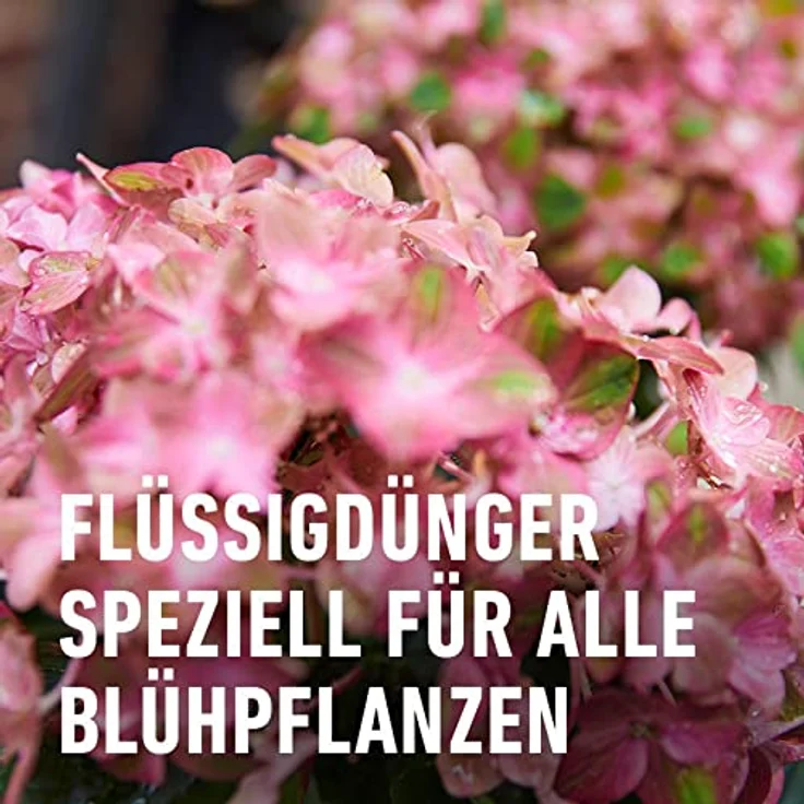 Compo Blühpflanzendünger 500 ml – Bild 4
