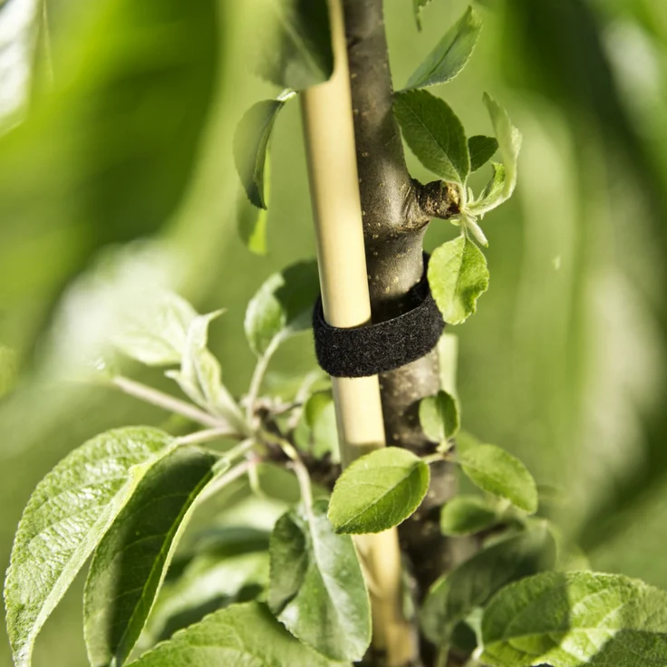 Windhager Klettverbinder 12 mm x 5 m, schwarz – Bild 2