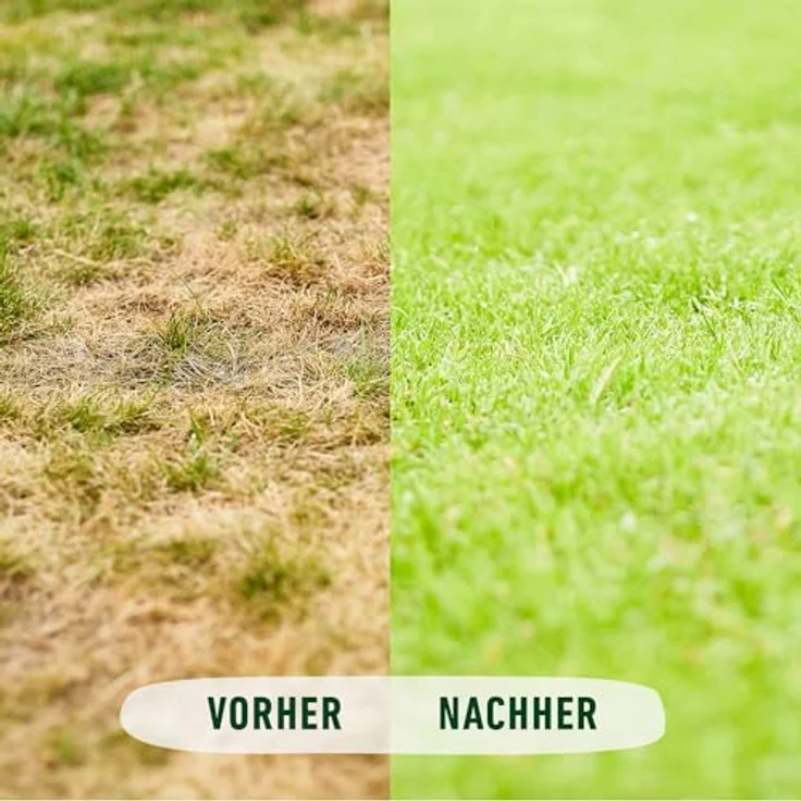 Compo Bio-Rasendünger 20 kg, 100% natürliche Inhaltsstoffe, für 500 m² Rasenfläche, staubarm und unbedenklich für Mensch und Tier – Bild 7