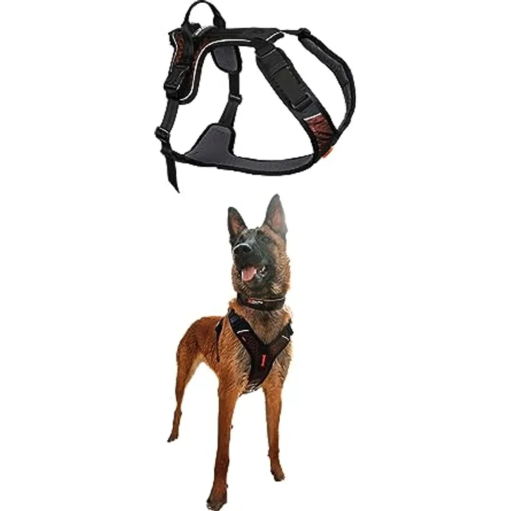 Non-stop dogwear Rock Harness |130| Atmungsaktives, verstellbares Führ- und Alltagsgeschirr, Größe:S