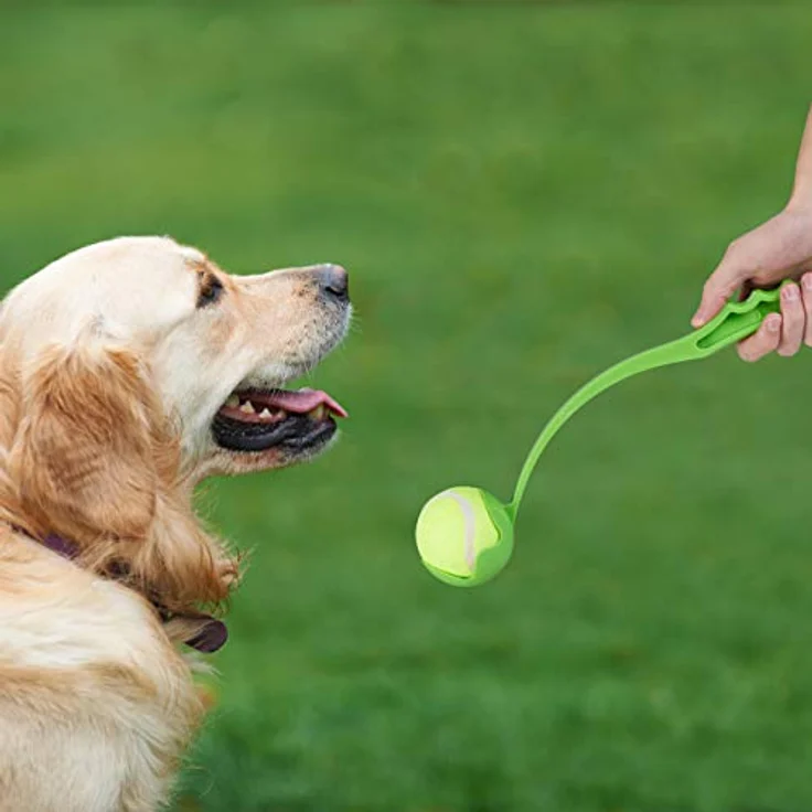 Relaxdays 4 x Ballschleuder für Hunde, Ballwerfer Set, inklusive 10 Tennisbälle, Ballwurfarm, Hundespielzeug Werfer, blau/grün – Bild 2