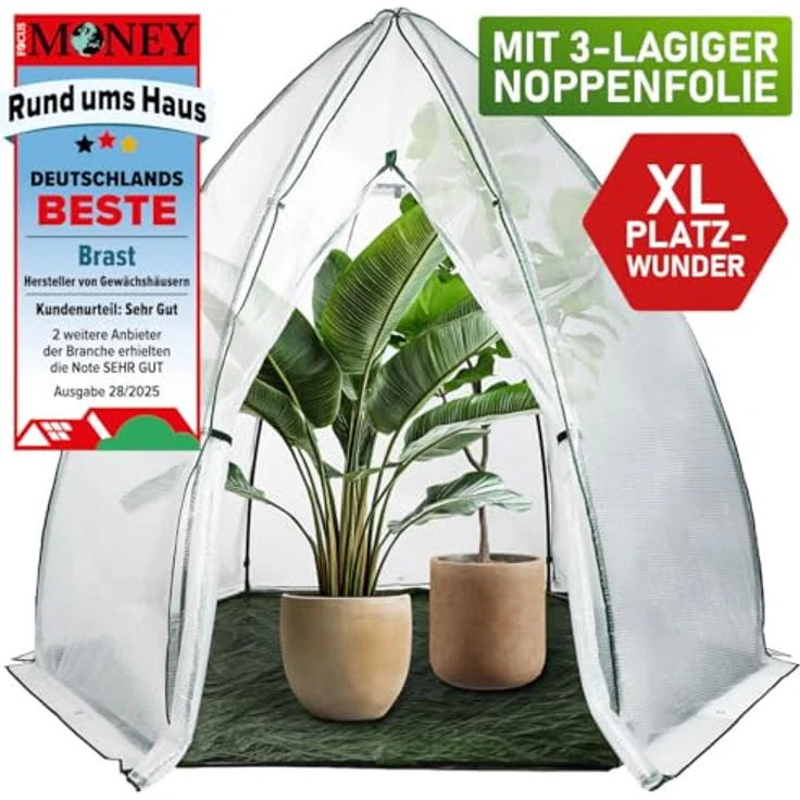 BRAST Überwinterungszelt Foliengewächshaus Mini 160x160x180cm - 250x250x220cm mit Reißverschluss, wahlweise Heizungsoption, schnellaufbaubarer Winterschutz für Pflanzen – Bild 3