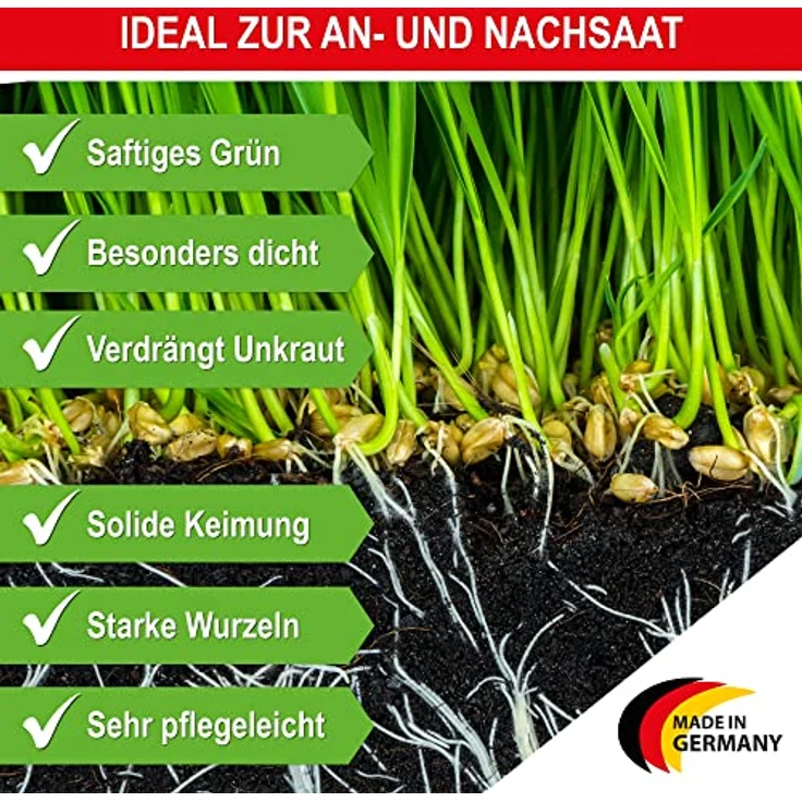 ONBEST RSM 2.3 Qualitäts Rasensamen, 1kg Sport- und Spielrasen, strapazierfähig, sattgrün & pflegeleicht, ideal für Neuansaat und Nachsaat, mit Blumensamen – Bild 2