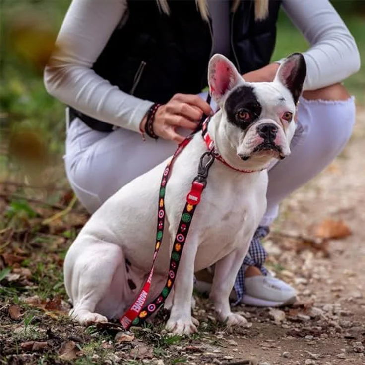 Cerdá Wendegurt für Fan Pets mit Marvel Motiven, aus 100% Polyester, beständiger Stoff, inklusive Metallanhänger, offiziell lizenziert von Marvel – Bild 5